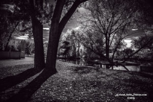 Afternoon Shadows