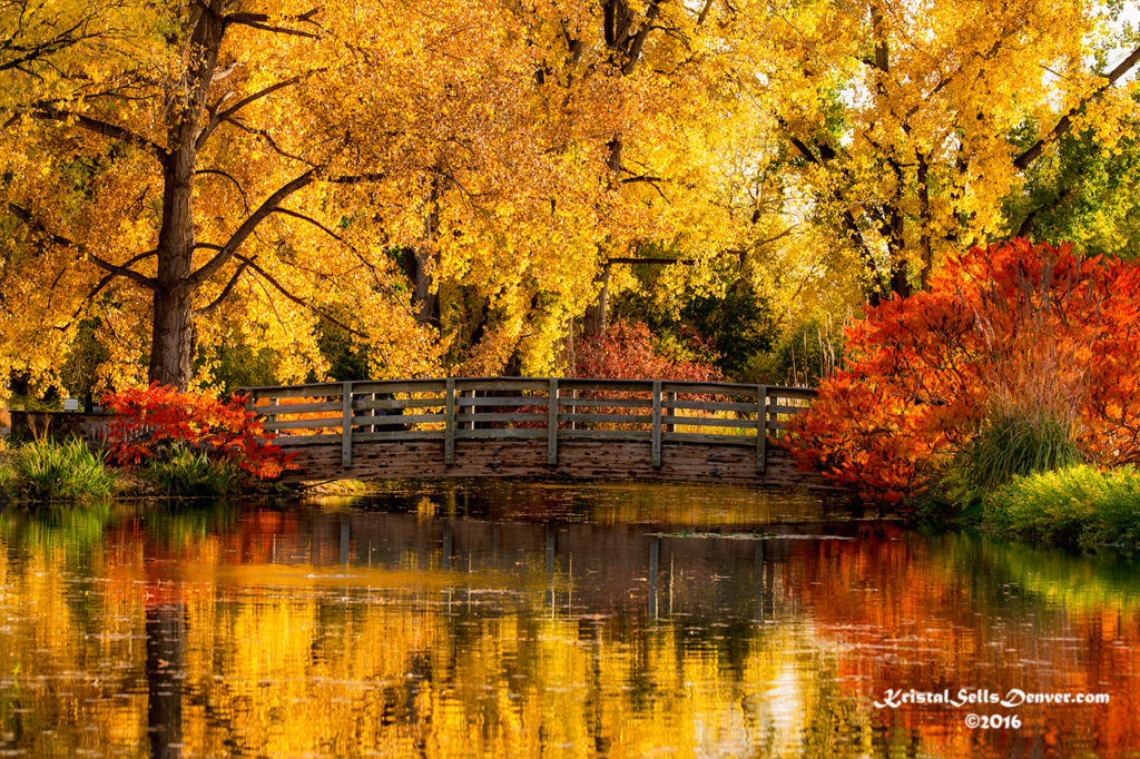 Reflections of Fall Denver Photo Blog