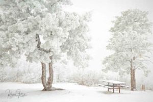 Snow Picnic