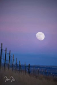 Full Moon on Hess Road